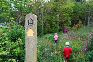 A Young Family Walking Through Flowers with a signpost showing an acorn in the foreground