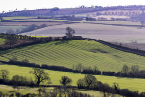 English Countryside with the low sun showing a rippled pattern in the field caused by the medieval Ridge And Furrow system