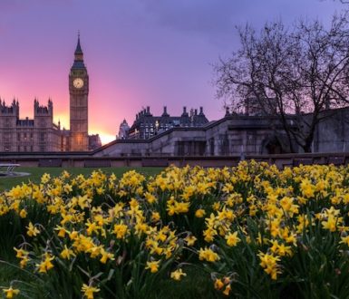 View of Houses of Parliament and Big Ben in London