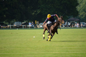 Man on a horse playing polo