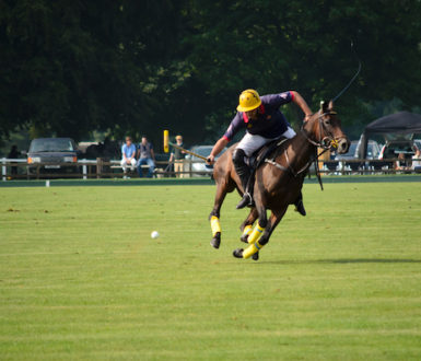 Man on a horse playing polo