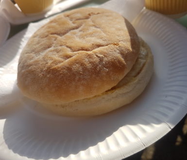 Picture of a flat wheat roll on a paper plate